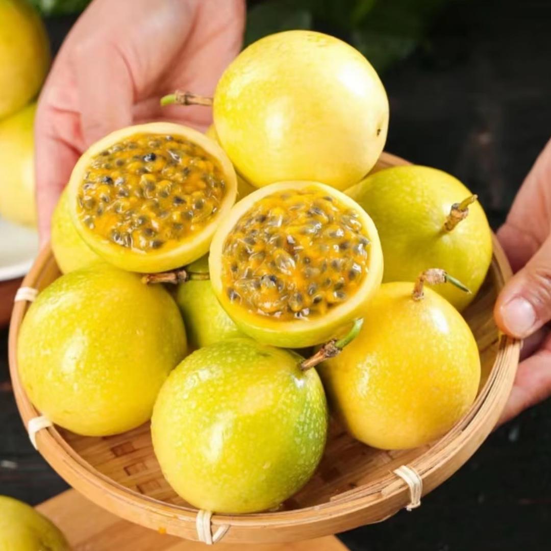 崇山钦蜜9号百香果