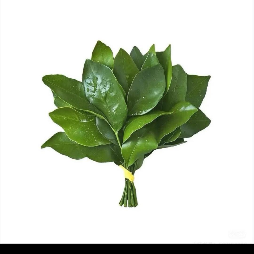 好运常在~
