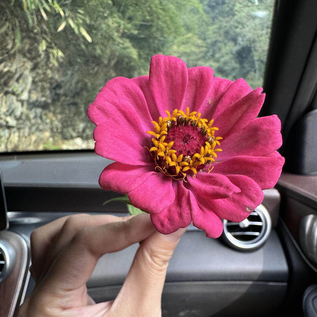 吴天律帮帮忙（騏鲮）