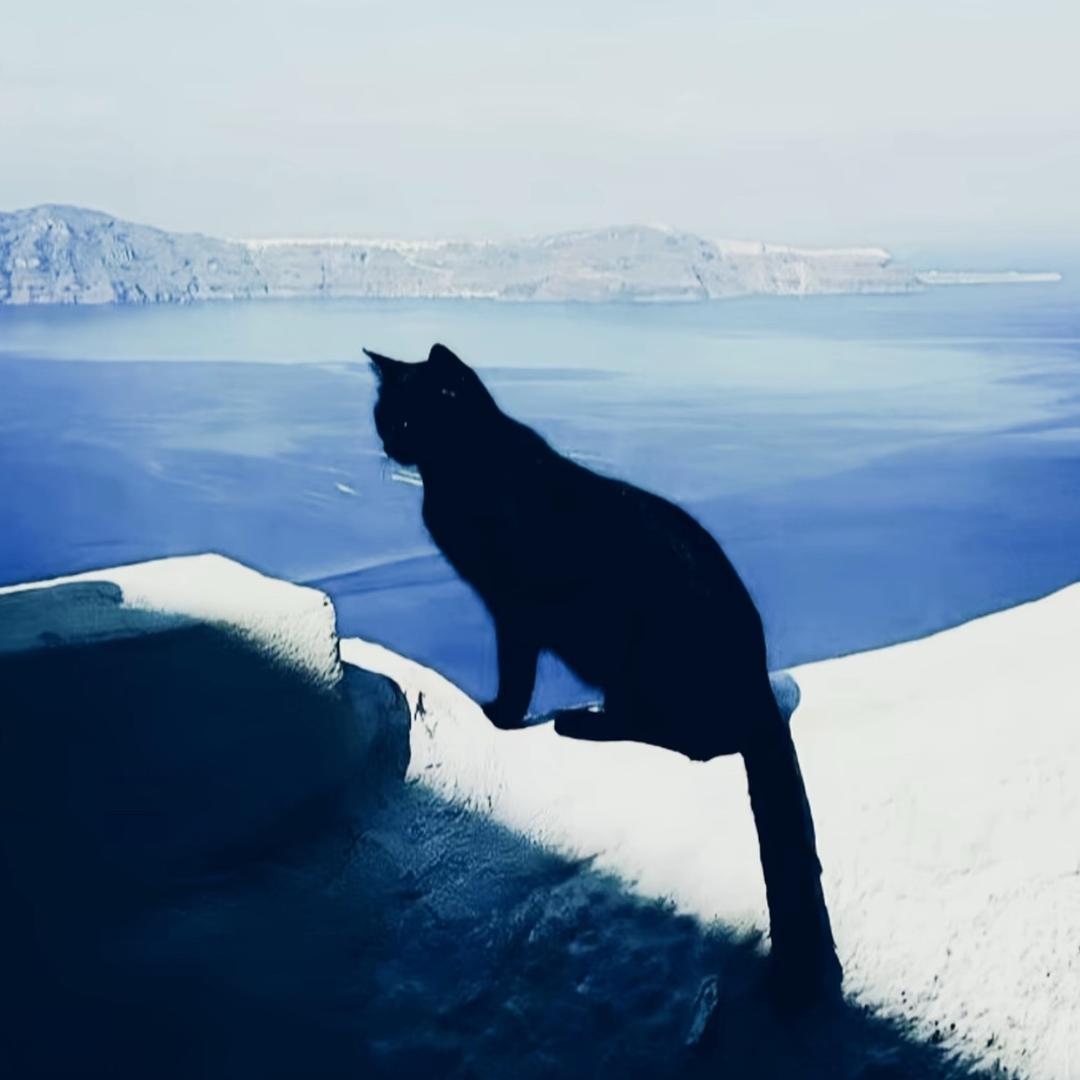 ㅤ ㅤ