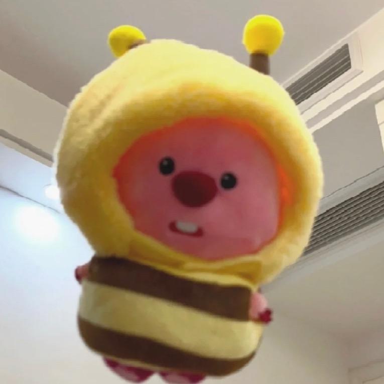 楼楼呀