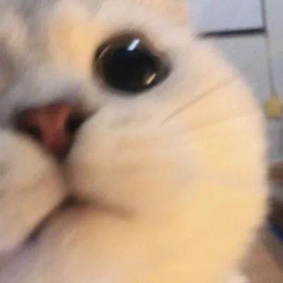 皮卡丘.