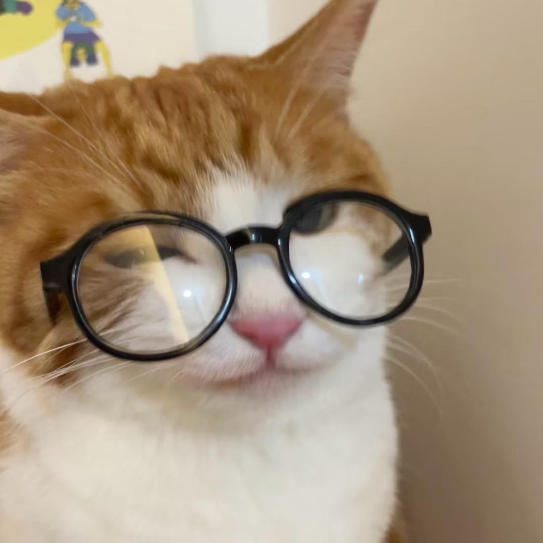 懒猫