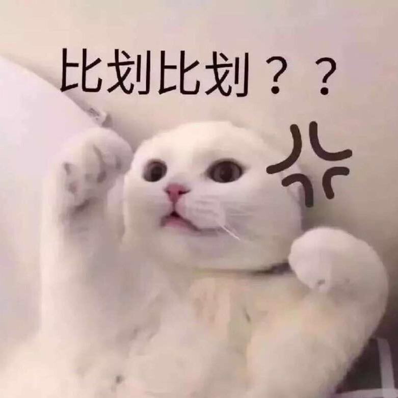 酱总大爆炸