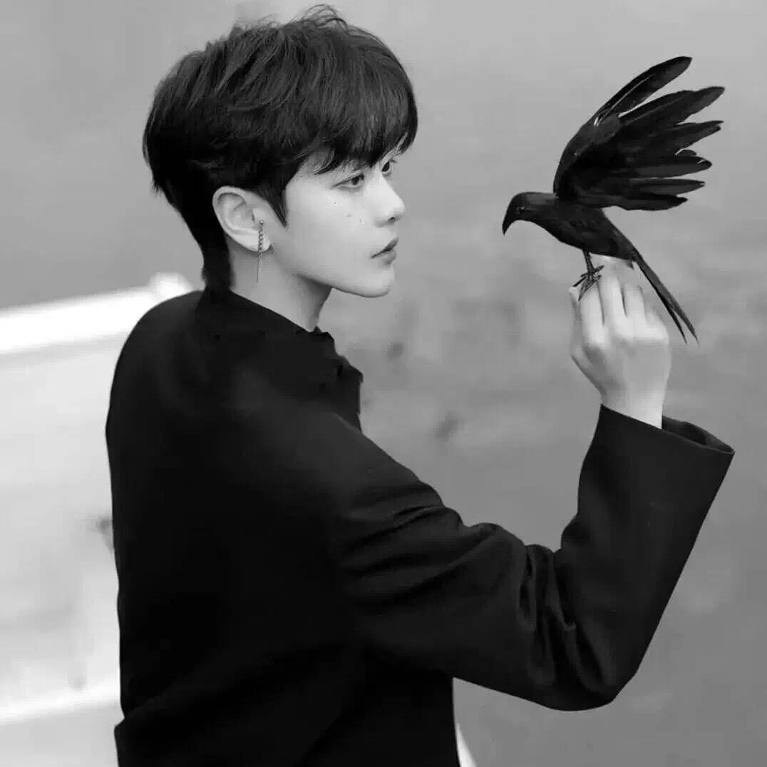 远离人间惊鸿宴