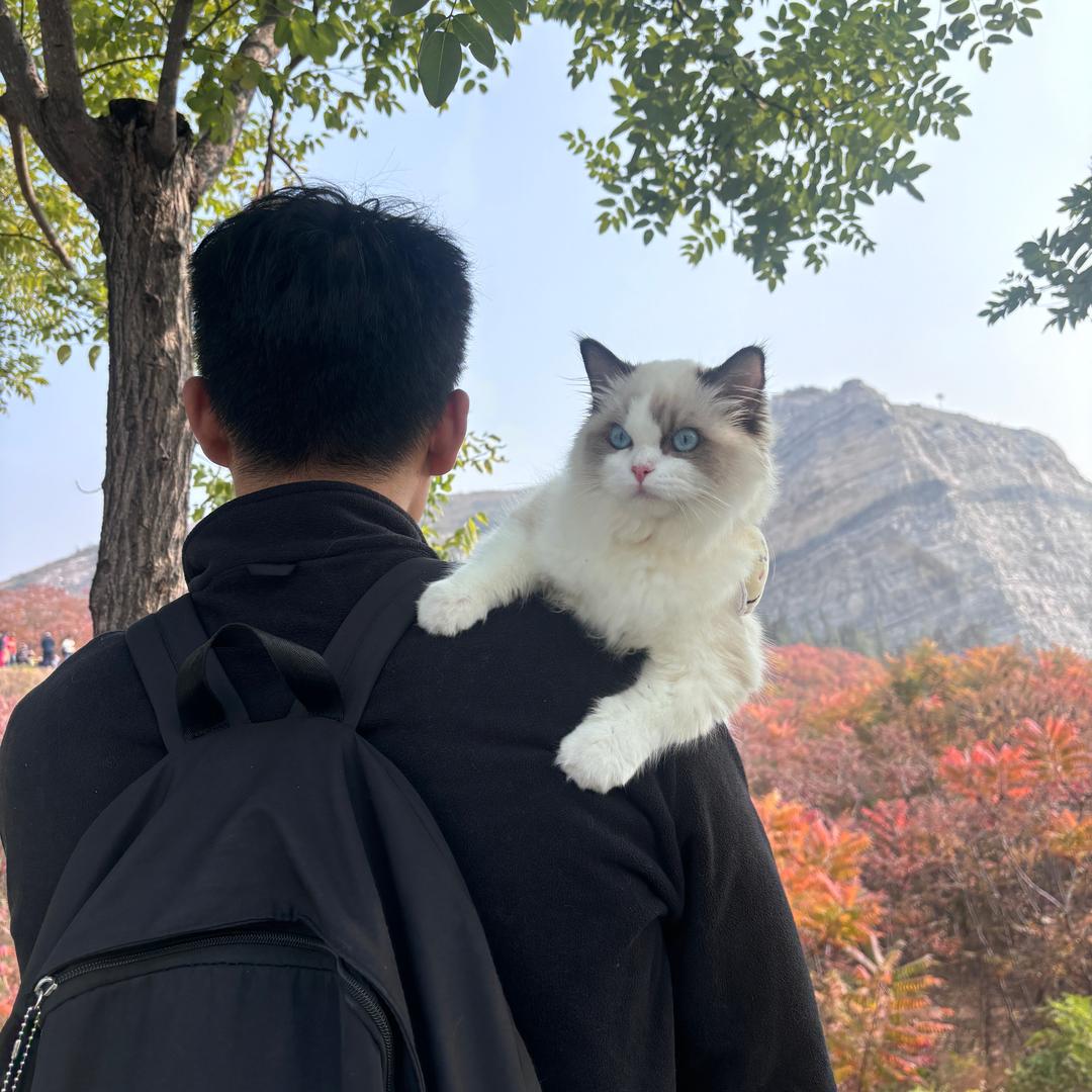 小满今天在干嘛？