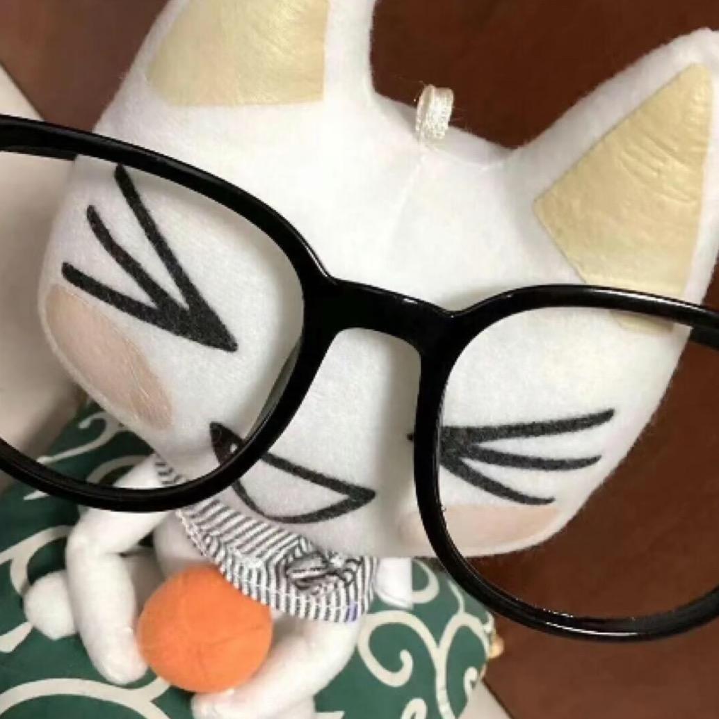 橘子猫.