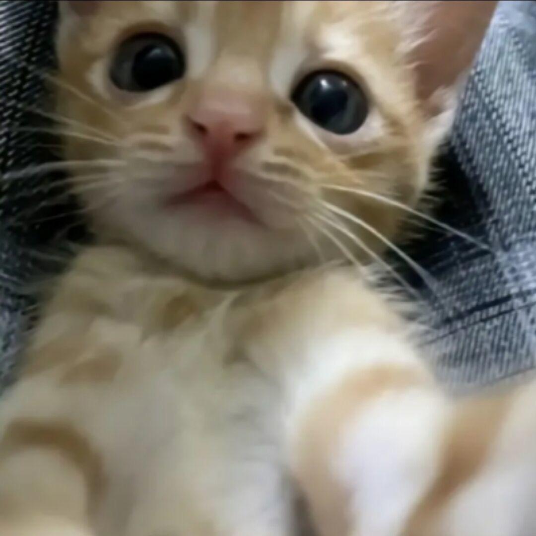 穆耶