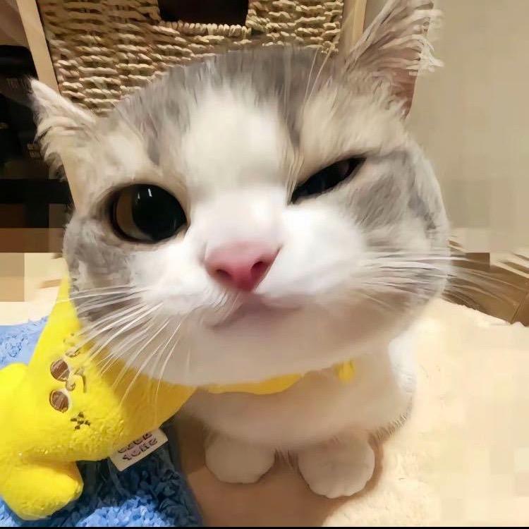 小笼包