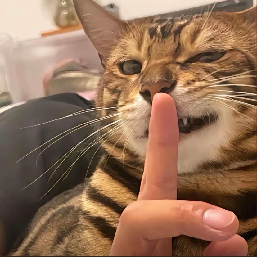 贝