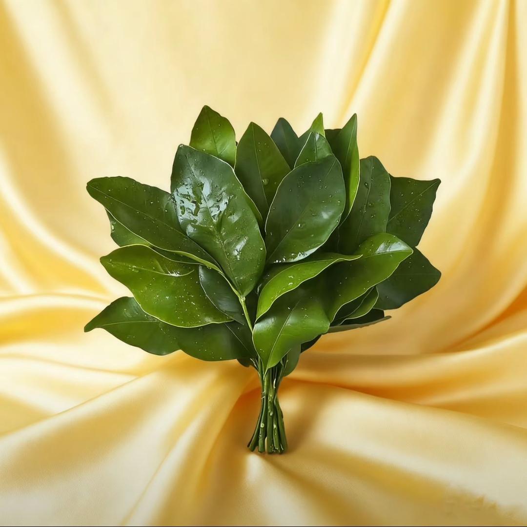 🍋杏运爆棚🎉