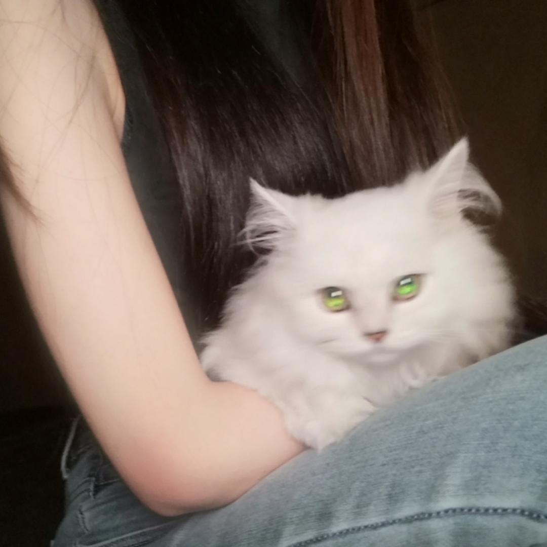 略略同学