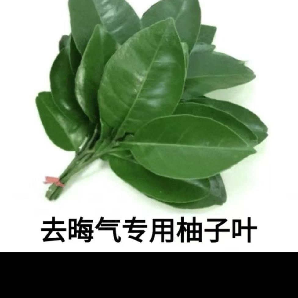 路小雨