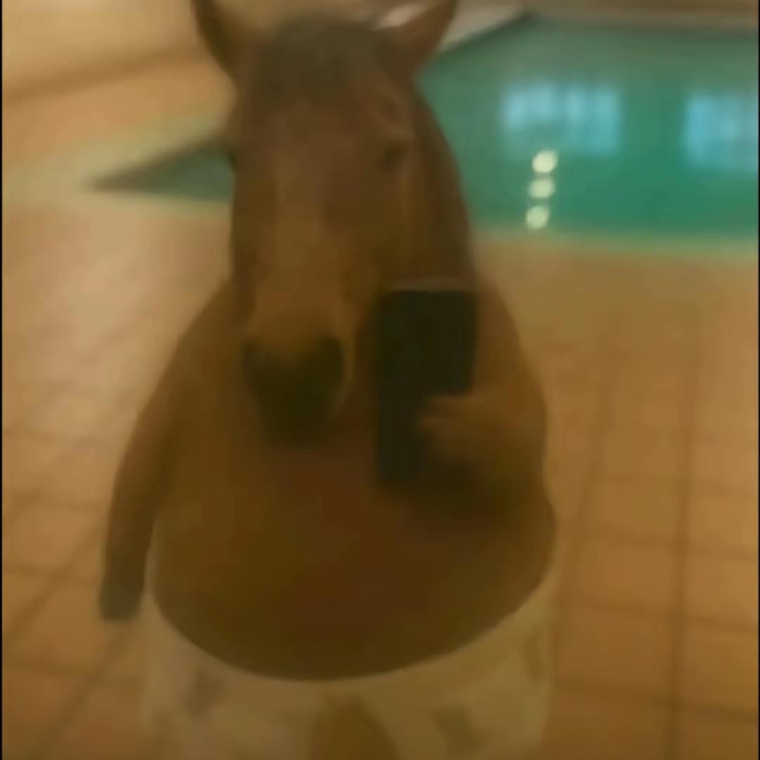 活着不玩不如死.