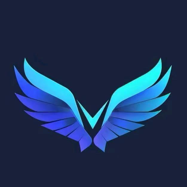 星璨无人机灯光秀