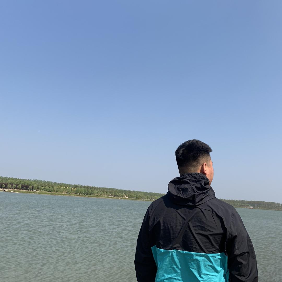 - -斑马没有死
