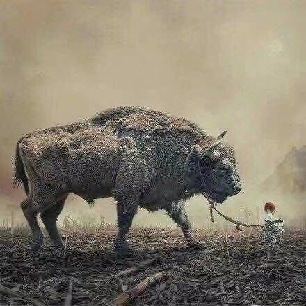抖音搜不到..