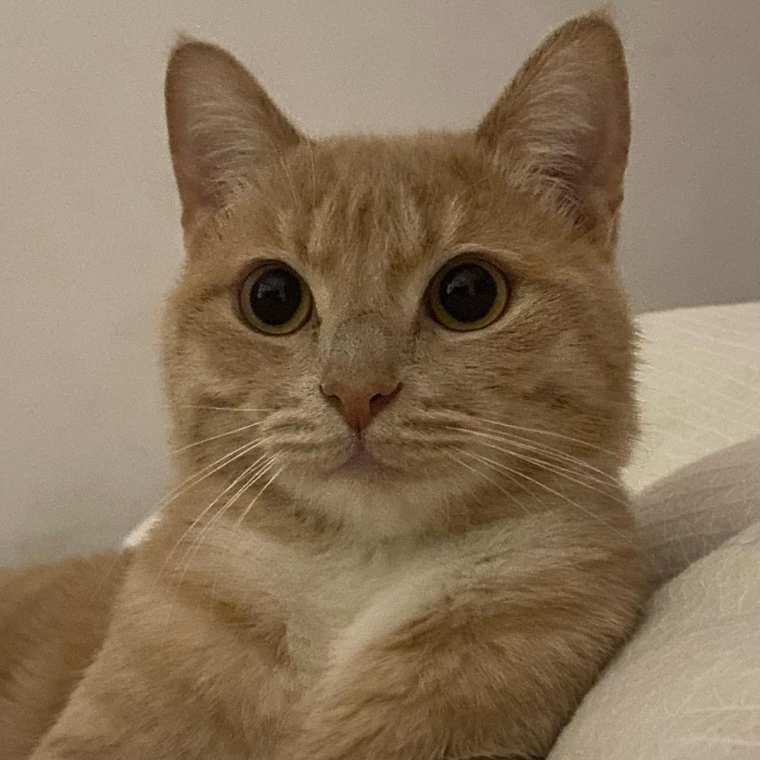 😊😊😊
