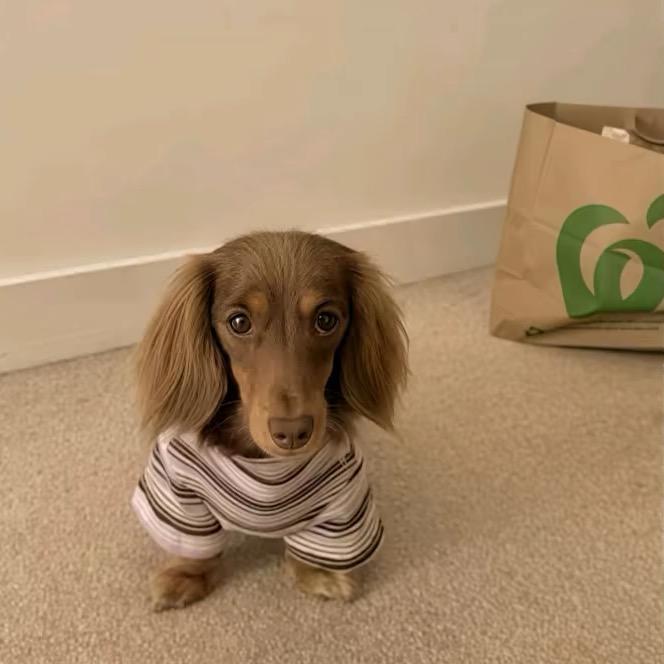 -东京下小雨💧