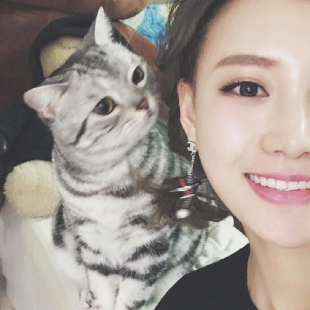 山月不知心底事🧚