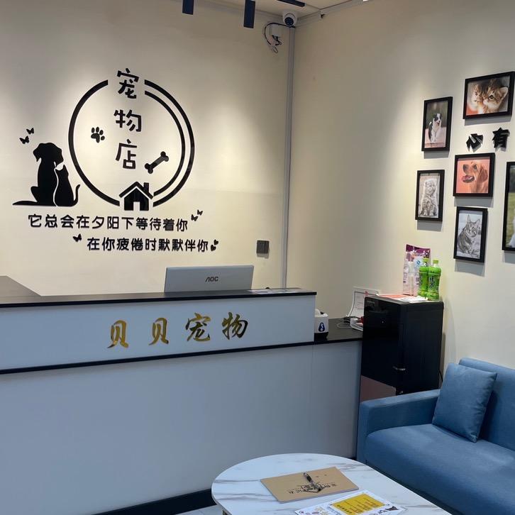 贝贝宠物店