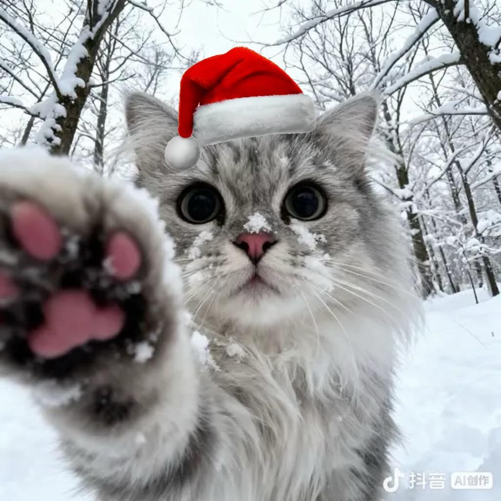 不好相处的女人🌱