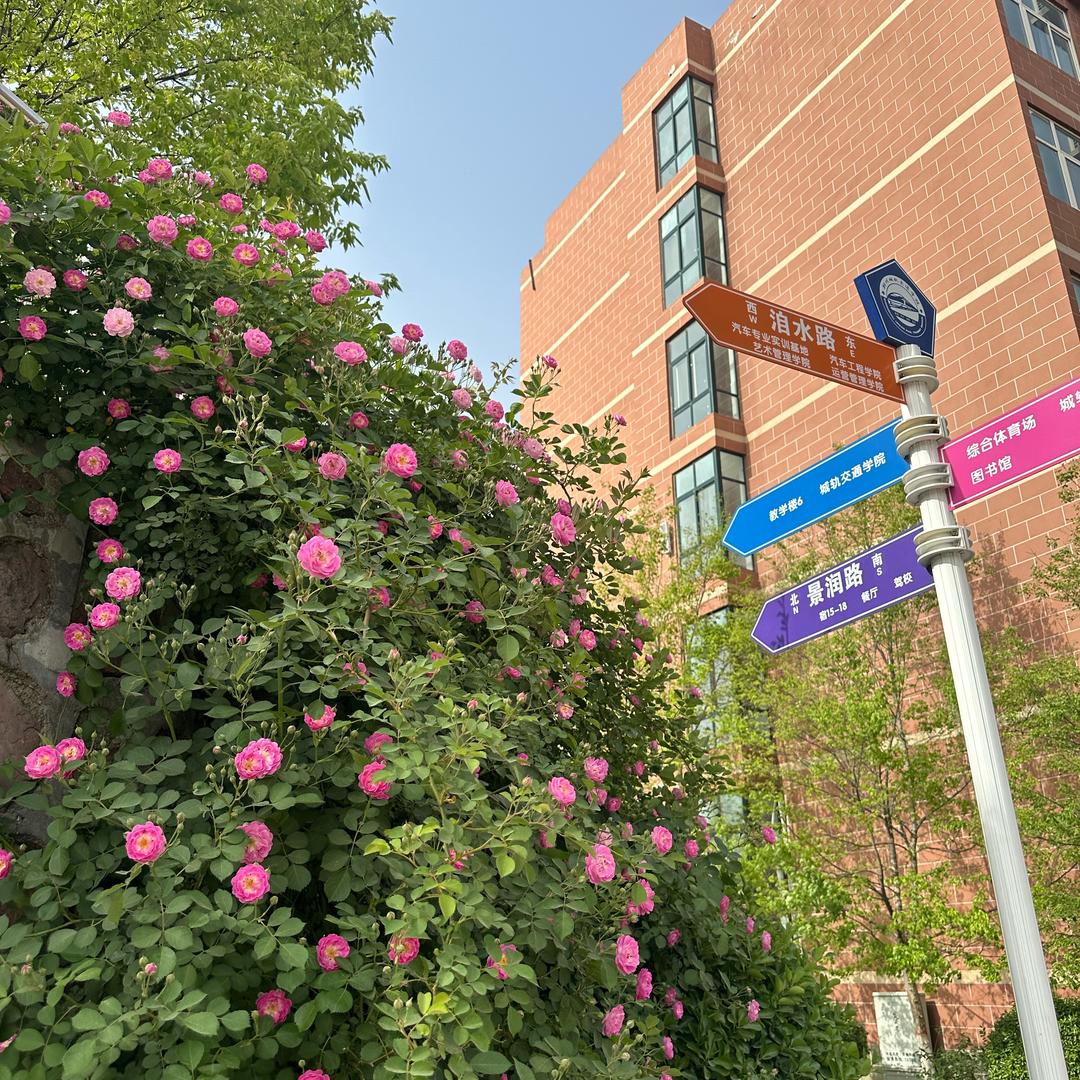 郑州城轨观察日记（上课ing）