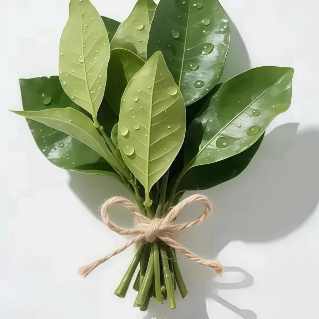 好运莲莲