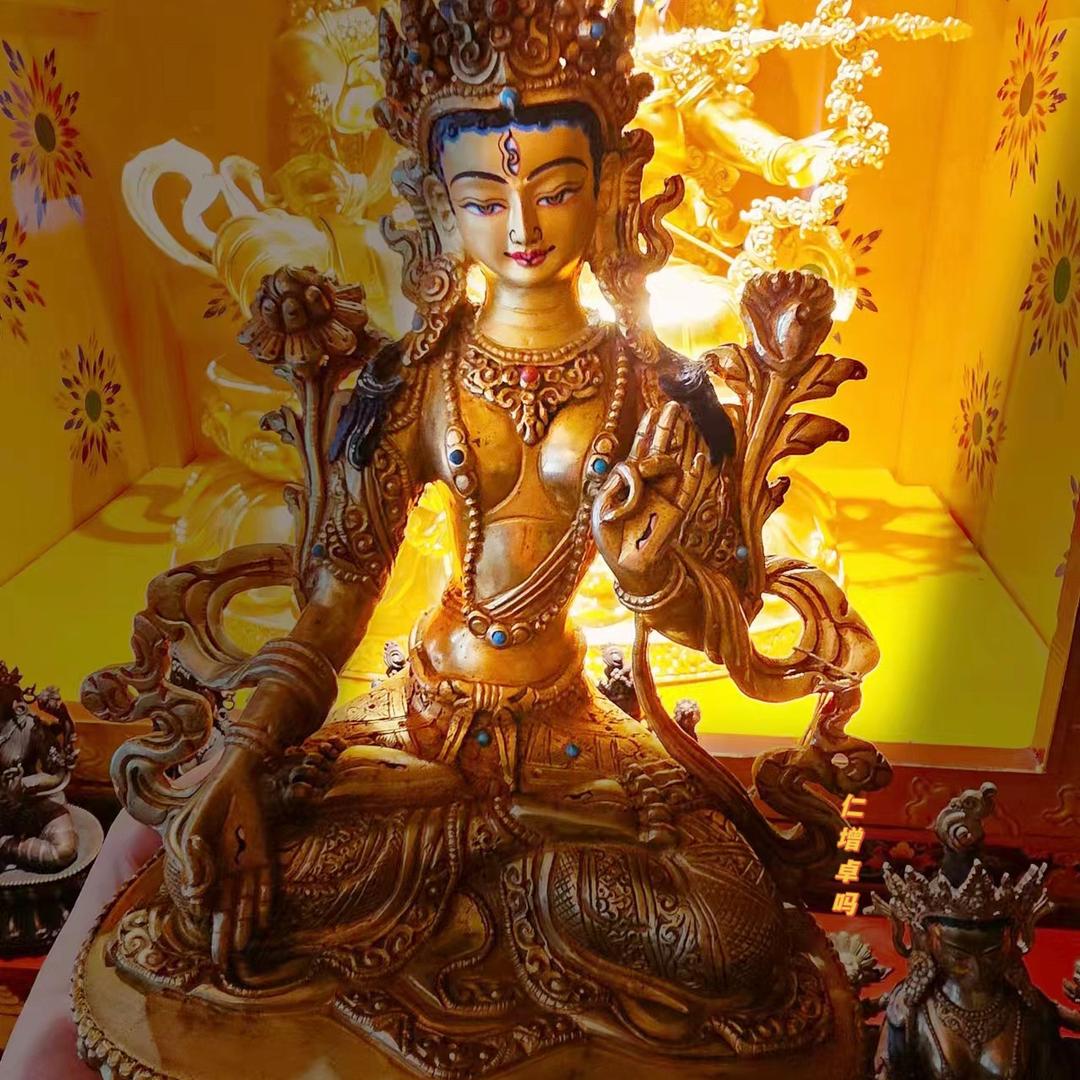 仁增卓吗（达玛巴）