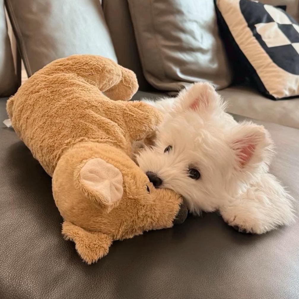 猜猜猜猜我是谁