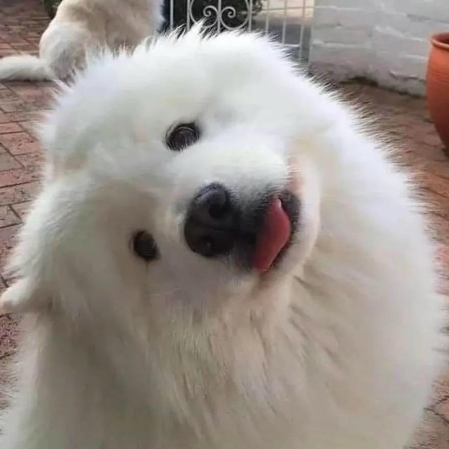 锅包肉