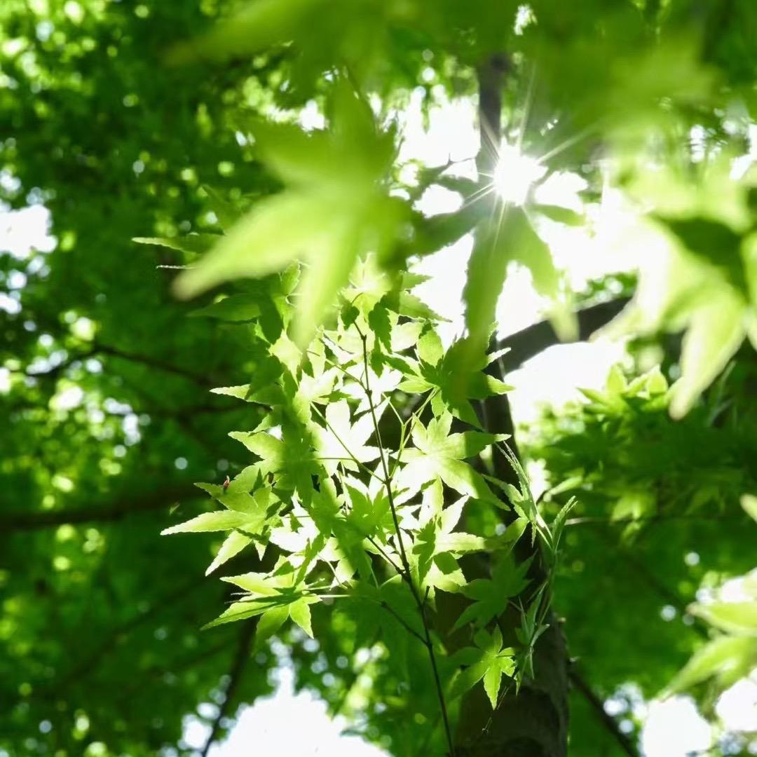 挺好的