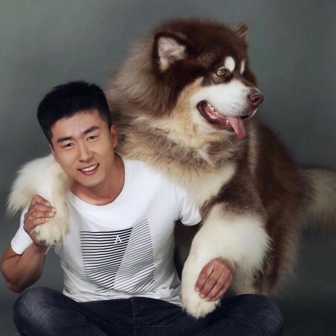 阿拉斯加摩羯犬舍