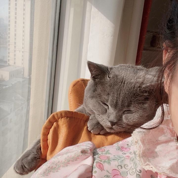 ✨້໌ᮨᩚ 双儿๑ຼ๑ꩵ