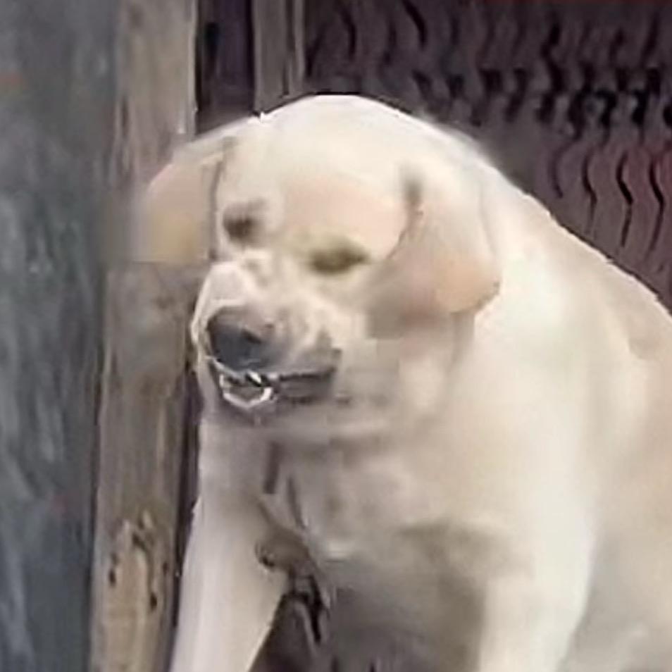 之之请暴差45😘