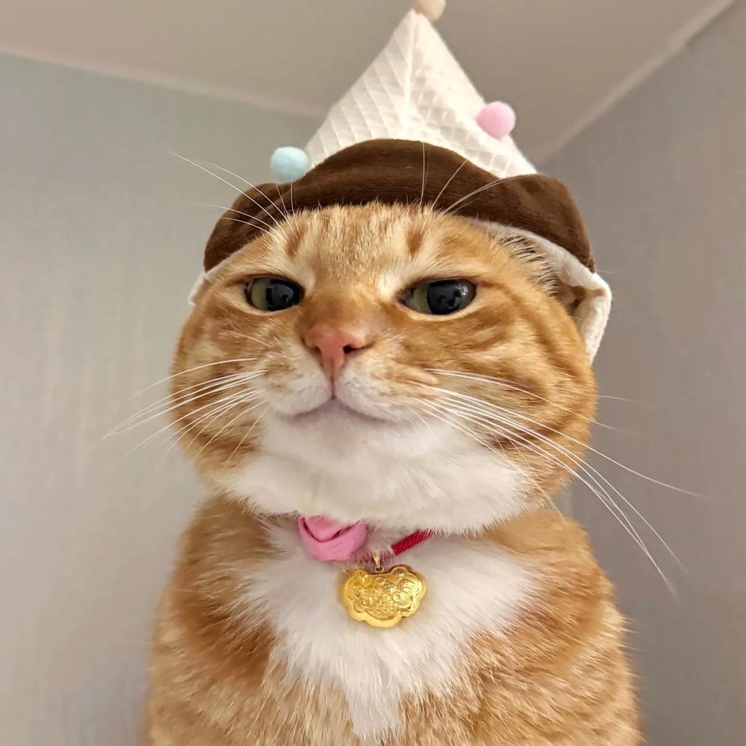 瘫痪老人暴走二里地