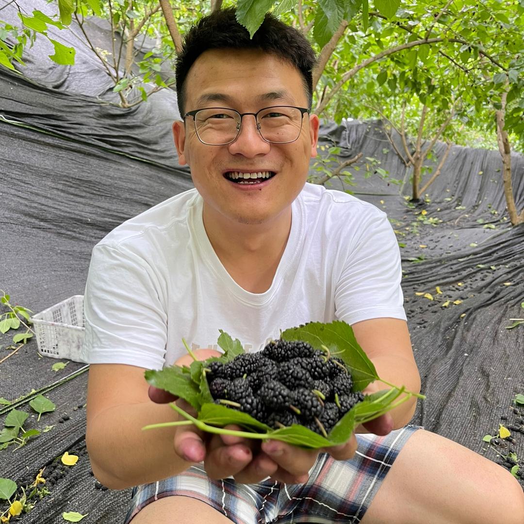 老余家的桑葚干