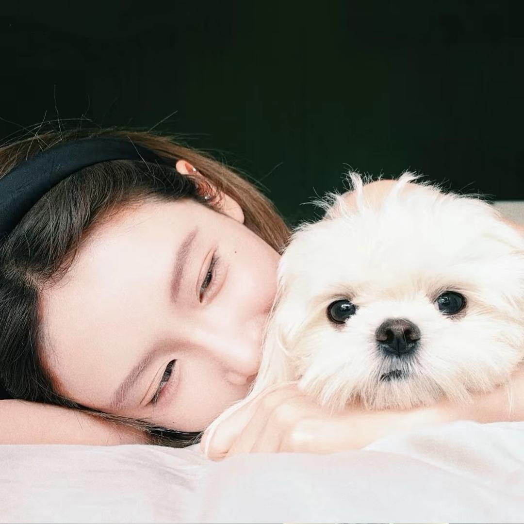 阿狸.