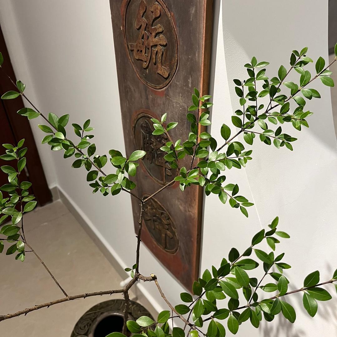 鏊聴瓷品