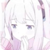 一只乌龟