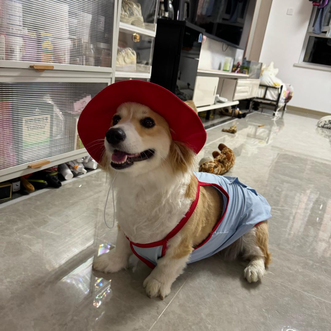 李来钱的幸福生活