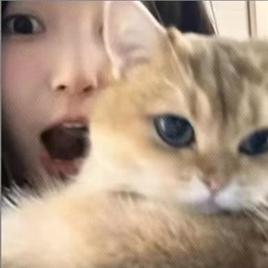 我来了