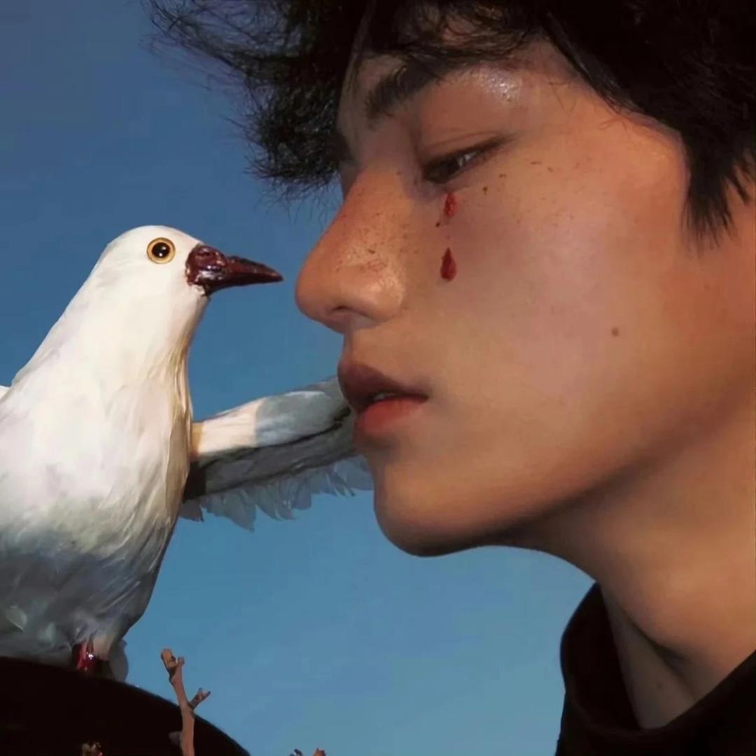 恭喜发财头像