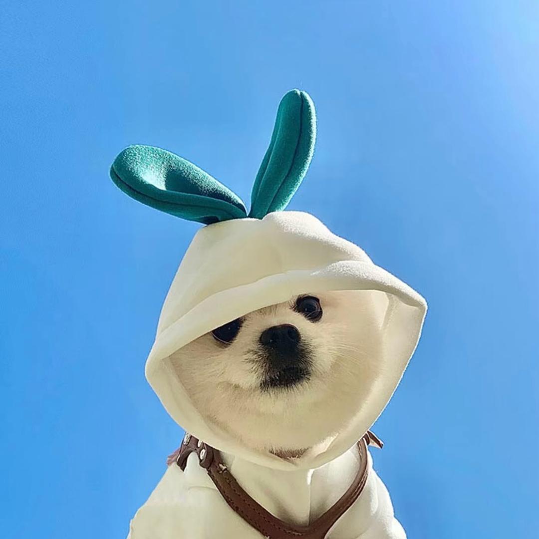 犟吖！