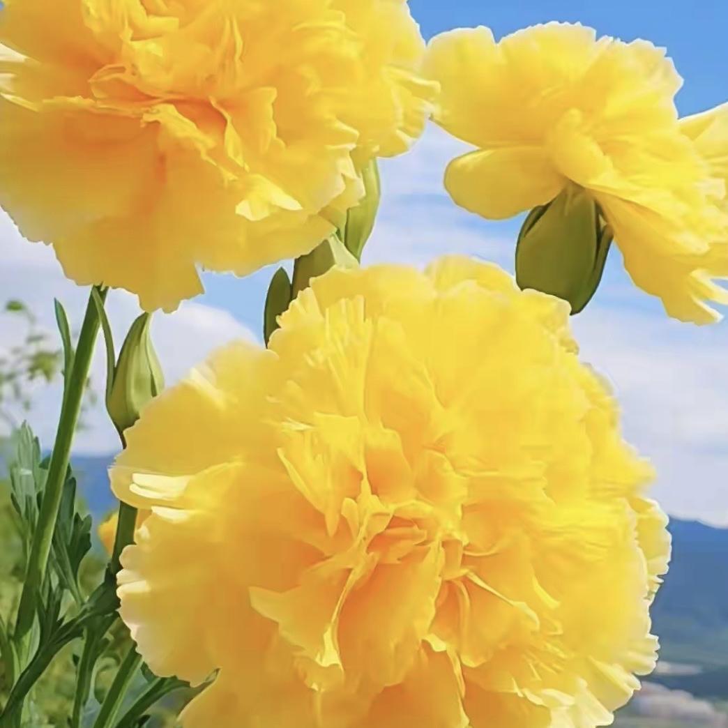 拥抱生活（百货）