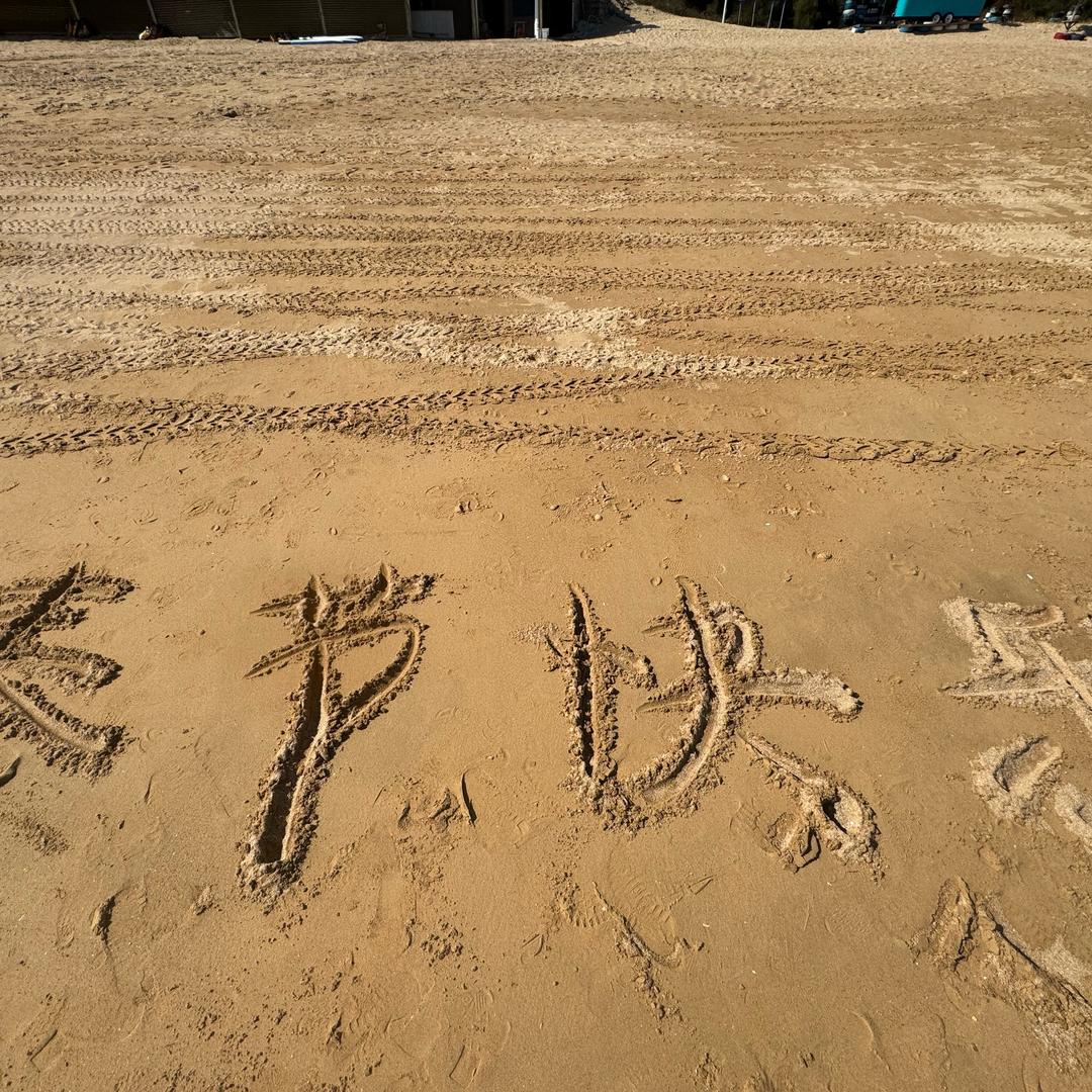鹿择栖