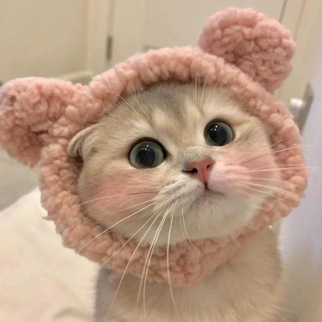 小怡y