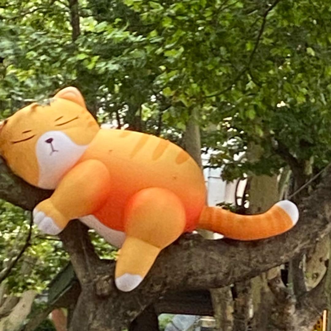 童心未泯