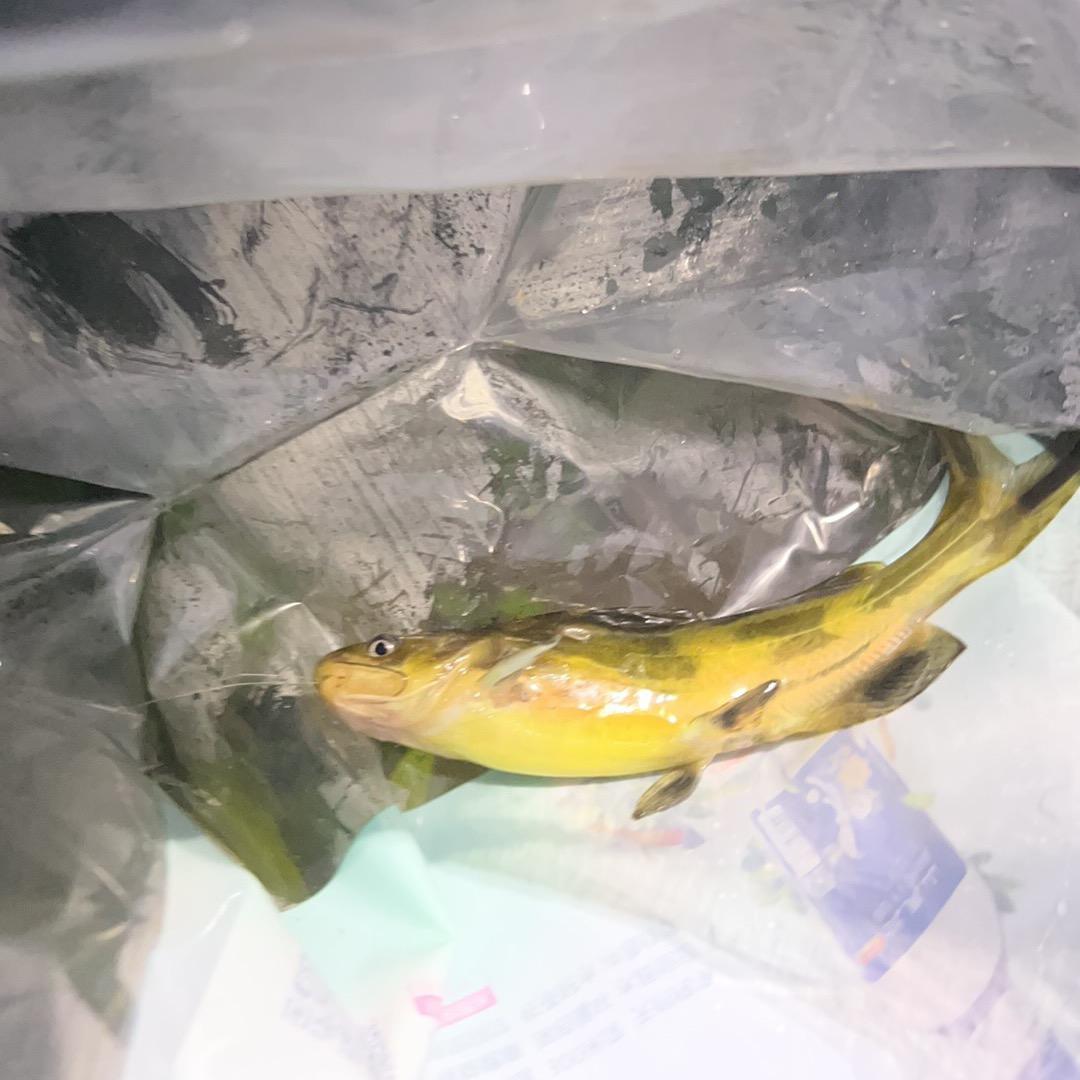 武汉市汉阳区四禾养生保健馆