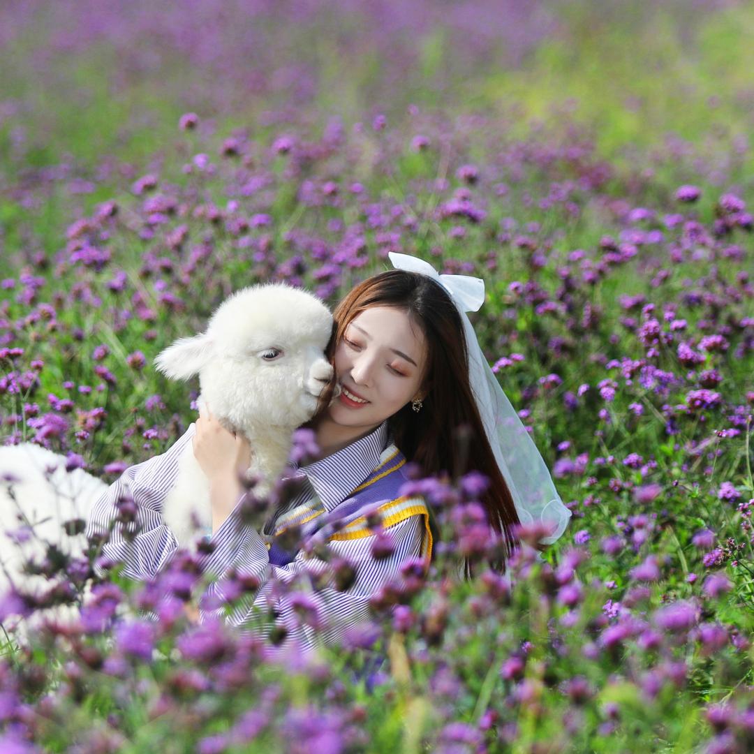 凯凯共享菜园💕
